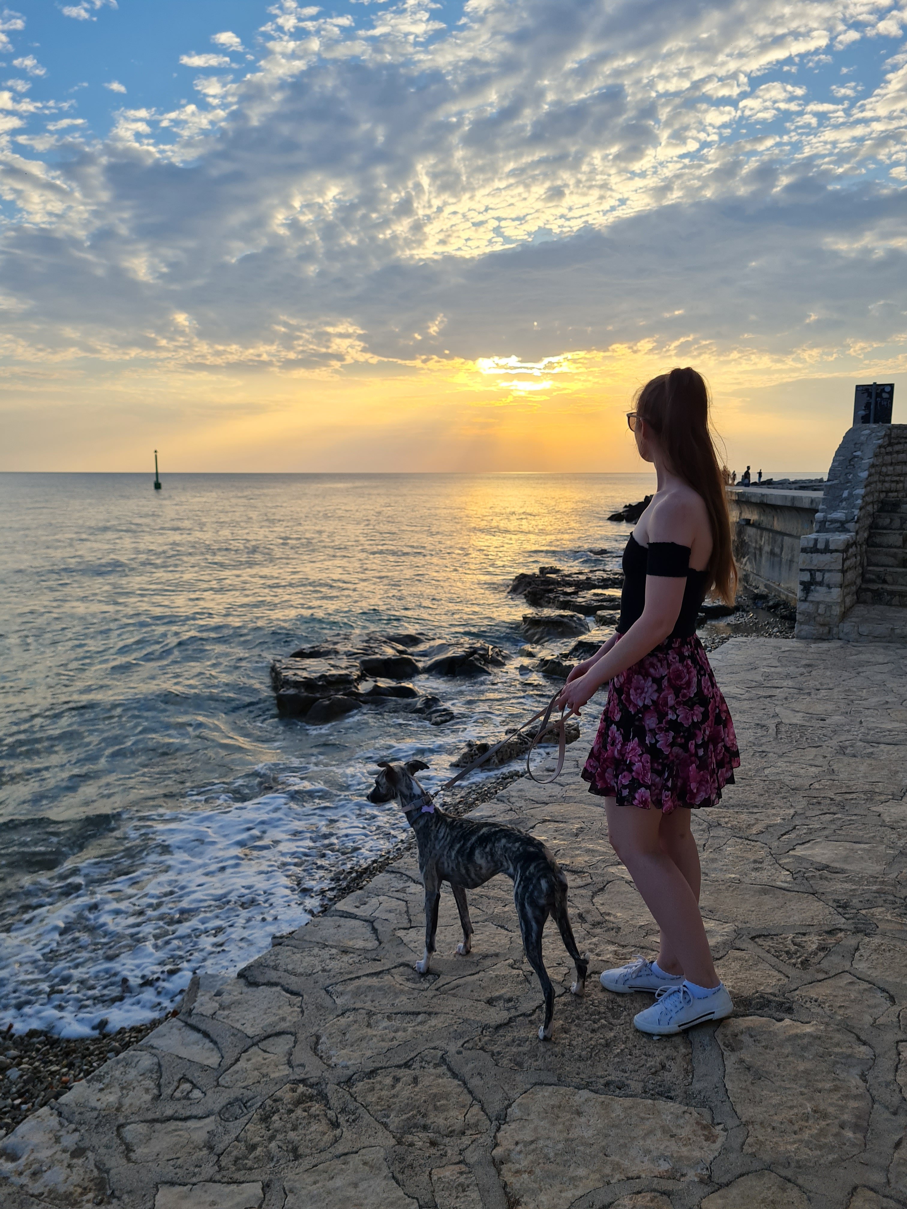 DogBeach founder walking her dog along the beach at sunset